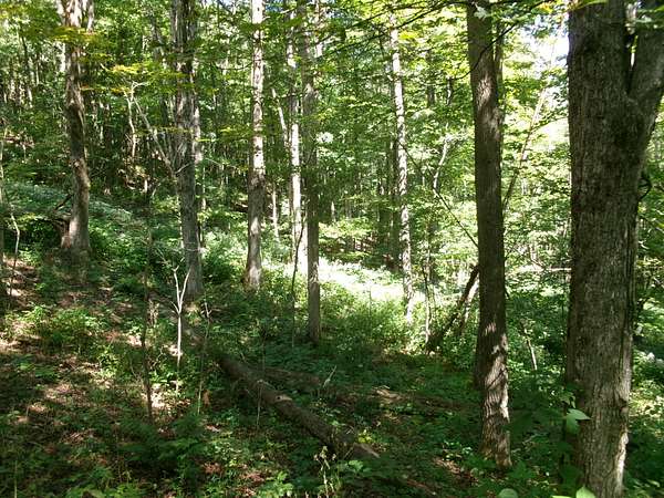 158 Acres of Recreational Land for Sale in Smyrna, New York