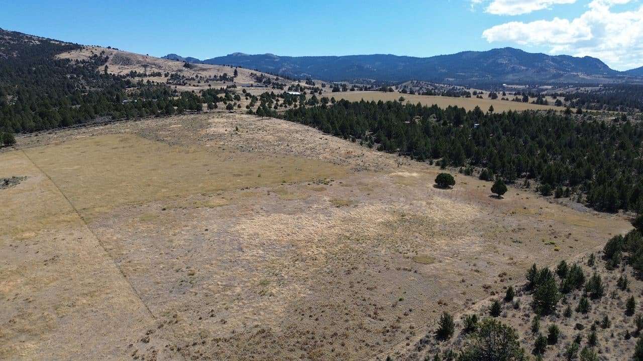 20 Acres of Land for Sale in Alturas, California