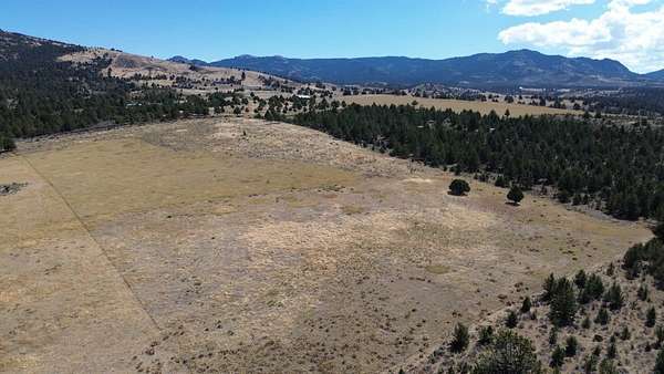 20 Acres of Land for Sale in Alturas, California
