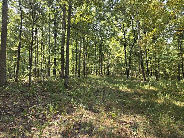 17.6 Acres of Land for Sale in Franklin, Tennessee