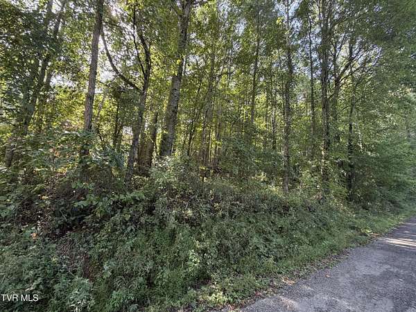 1.46 Acres of Land for Sale in Shady Valley, Tennessee
