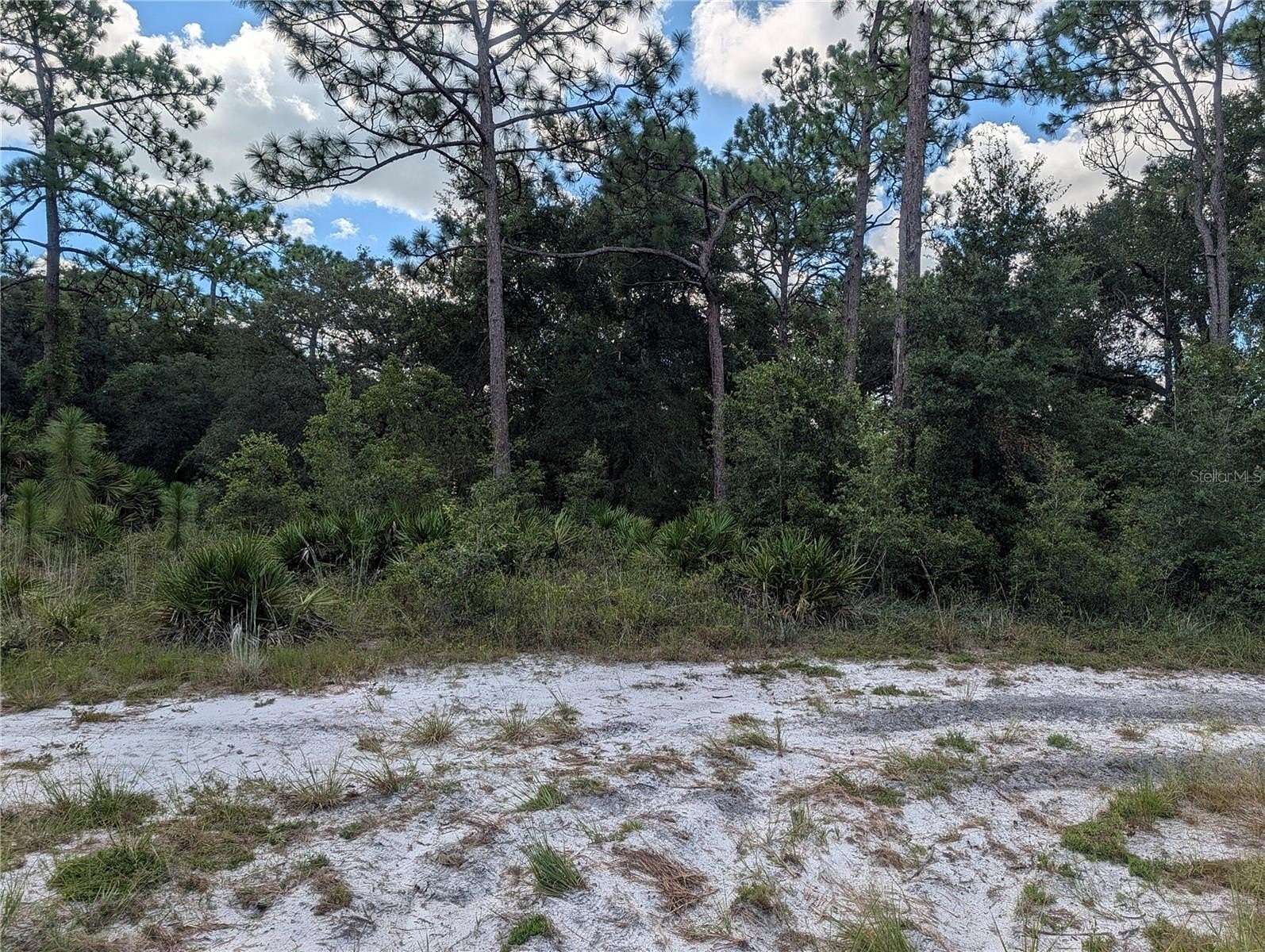 0.58 Acres of Land for Sale in Mount Dora, Florida