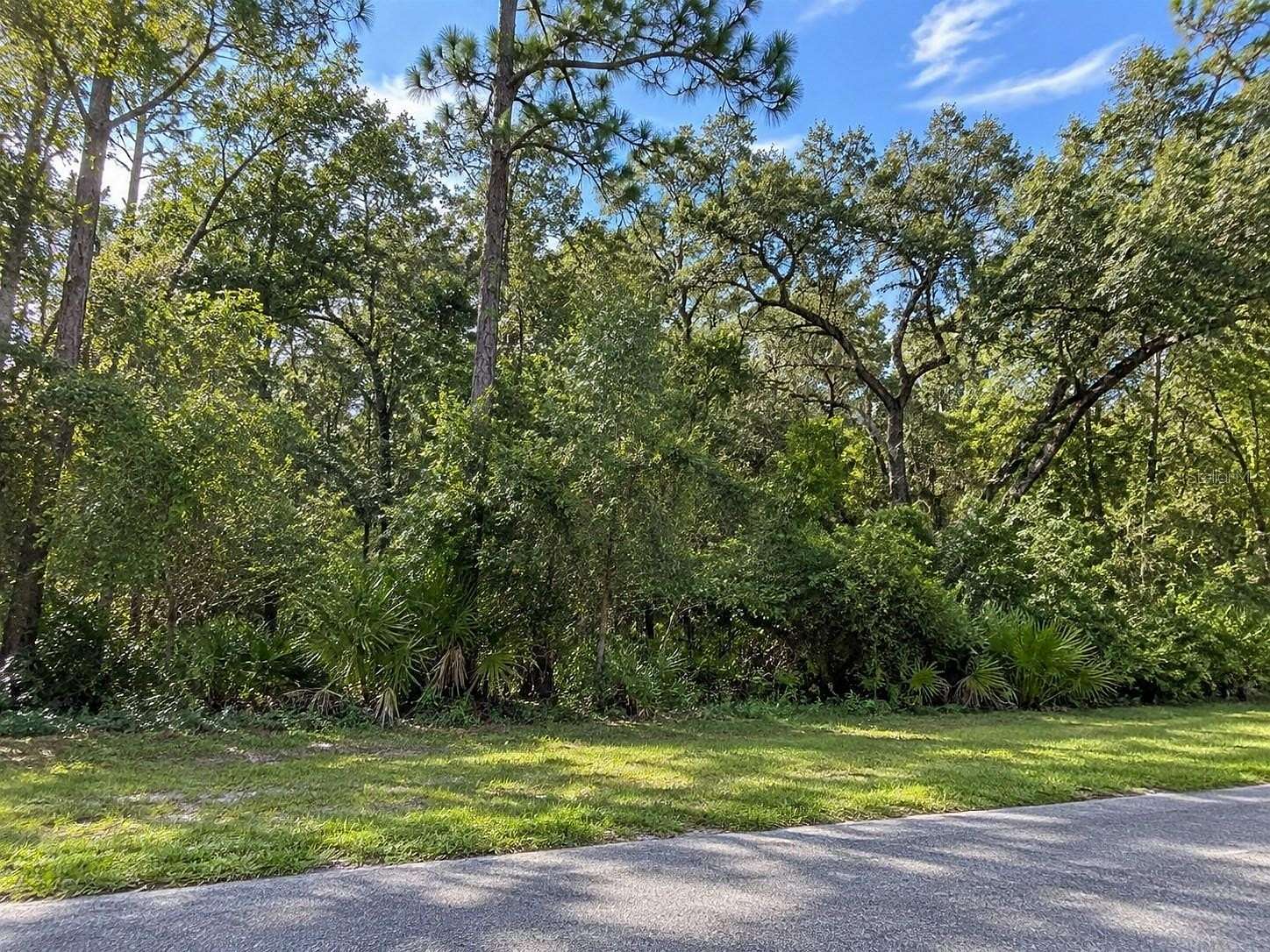 1.32 Acres of Residential Land for Sale in Valrico, Florida