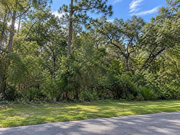 1.32 Acres of Residential Land for Sale in Valrico, Florida