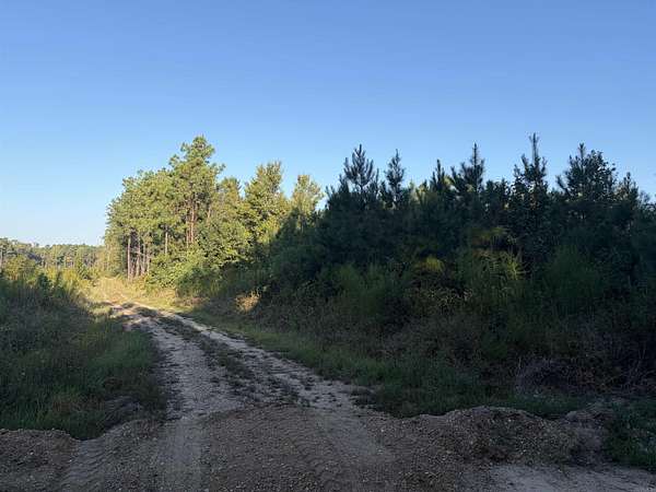 20 Acres of Recreational & Residential Land for Sale in Thornton, Arkansas