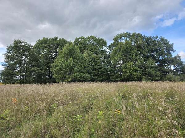 4.62 Acres of Land for Sale in Harrisville, Michigan