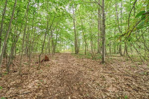 5 Acres of Land for Sale in Evart, Michigan