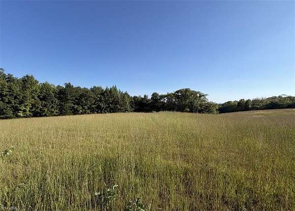 29.3 Acres of Land for Sale in Liberty, North Carolina