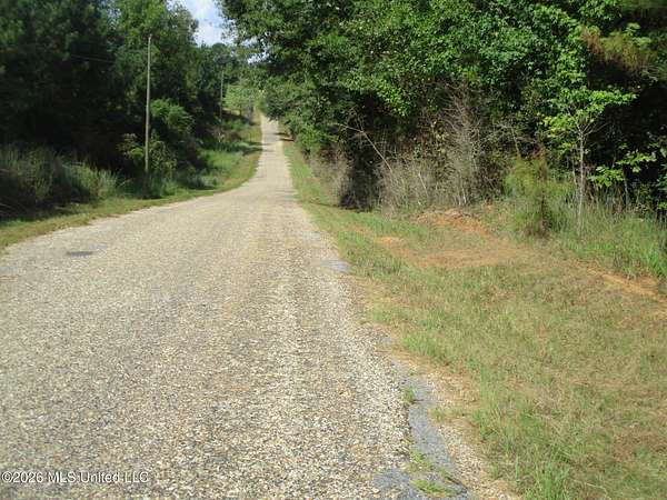 77 Acres of Recreational & Residential Land for Sale in Carson, Mississippi