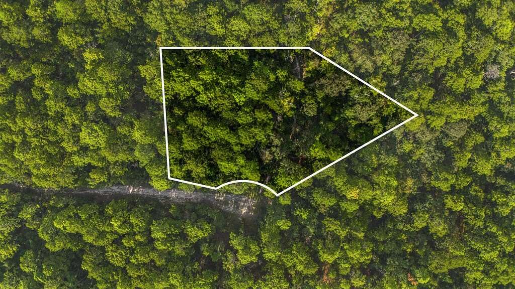 0.53 Acres of Residential Land for Sale in Brookeland, Texas