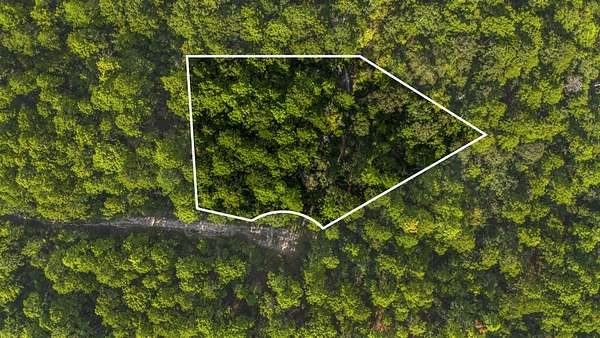 0.53 Acres of Residential Land for Sale in Brookeland, Texas