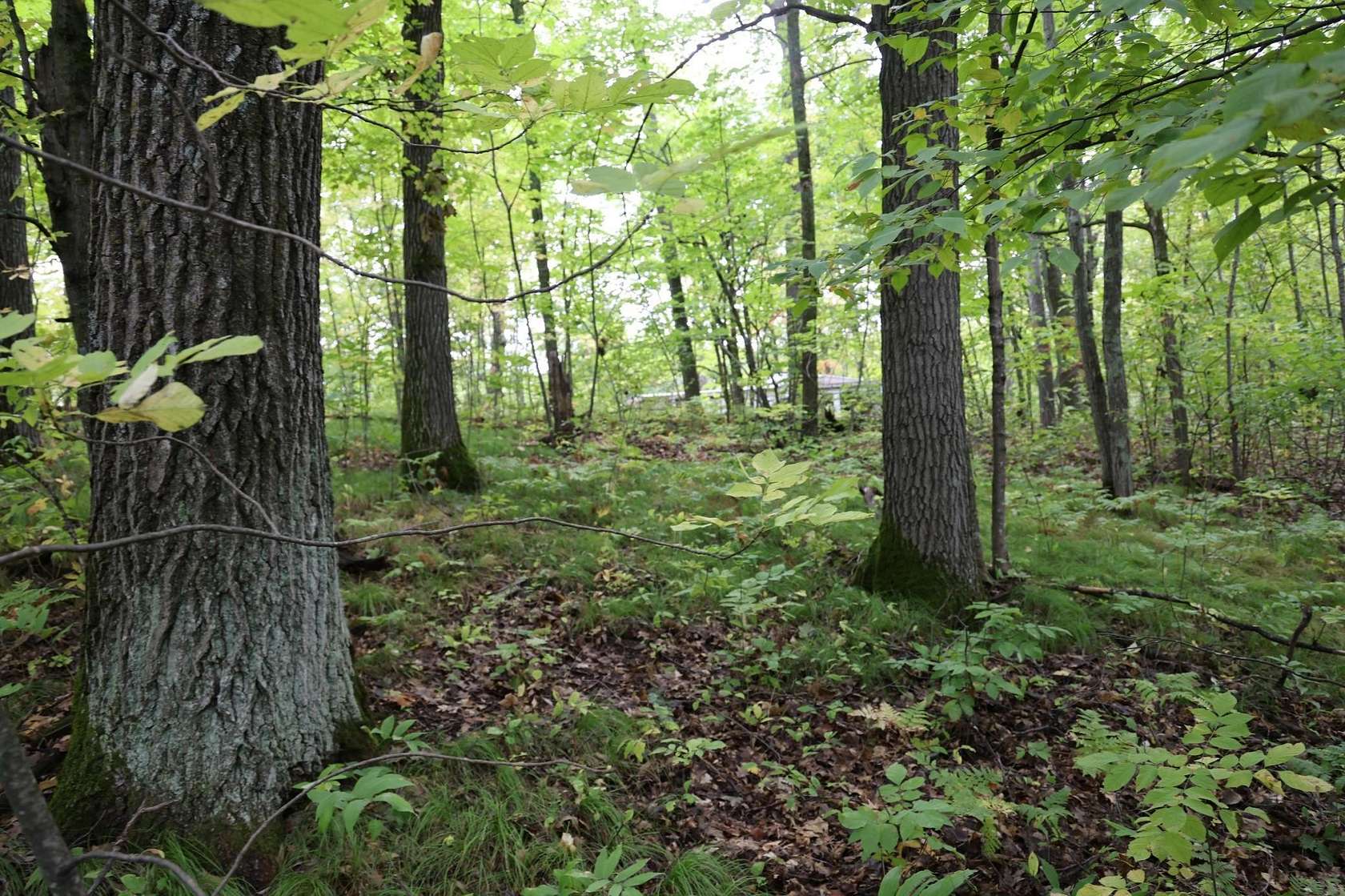 0.2 Acres of Residential Land for Sale in Garrison, Minnesota