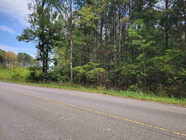 35 Acres of Land for Sale in Houston, Alabama