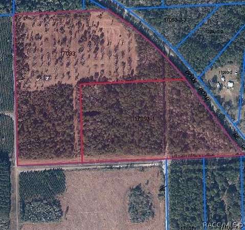 41.6 Acres of Agricultural Land for Sale in Gainesville, Florida