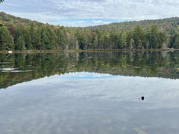 67 Acres of Recreational Land for Sale in Jamaica, Vermont