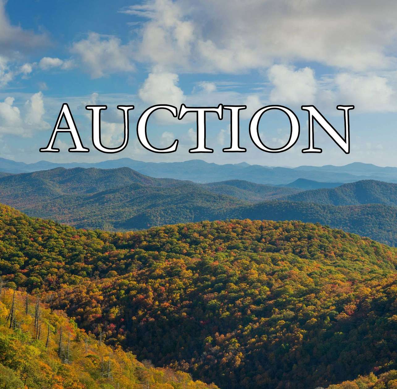 110 Acres of Recreational & Residential Land for Auction in Fletcher, North Carolina