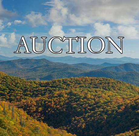 110 Acres of Recreational & Residential Land for Auction in Fletcher, North Carolina