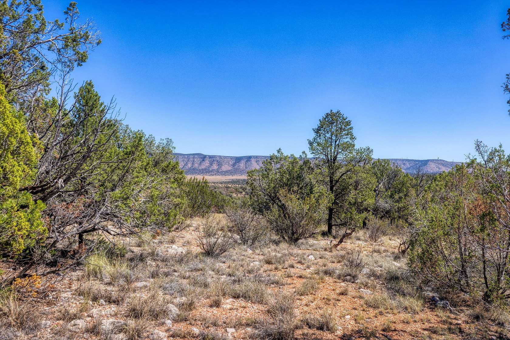 2 Acres of Residential Land for Sale in Seligman, Arizona