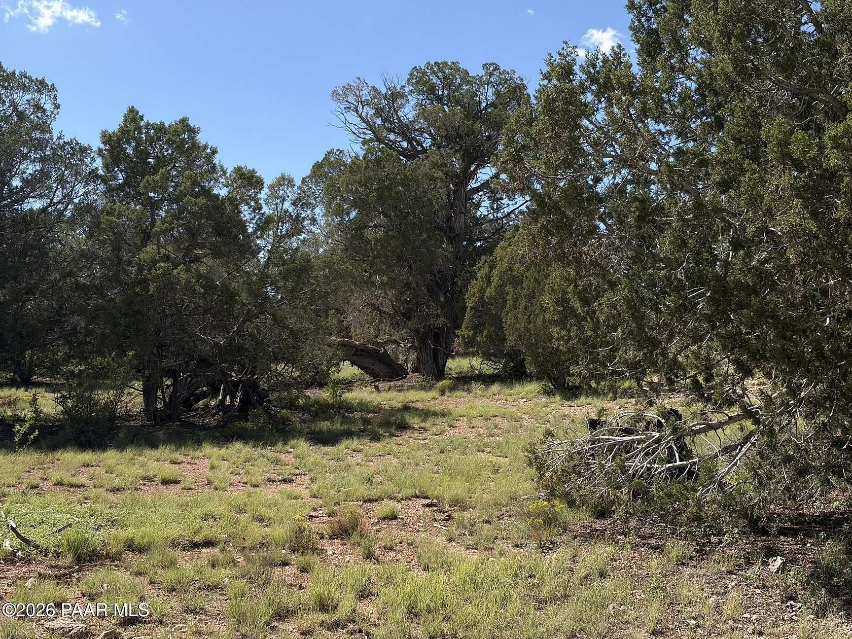 2 Acres of Land for Sale in Seligman, Arizona