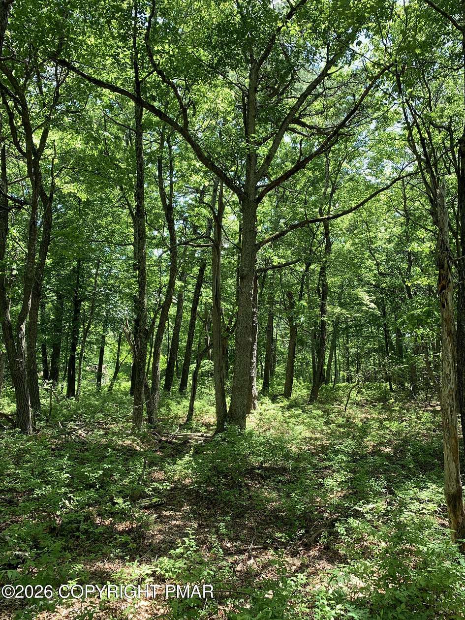 1 Acre of Residential Land for Sale in Dingmans Ferry, Pennsylvania
