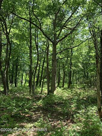 1 Acre of Residential Land for Sale in Dingmans Ferry, Pennsylvania