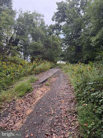 0.5 Acres of Residential Land for Sale in Bushwood, Maryland