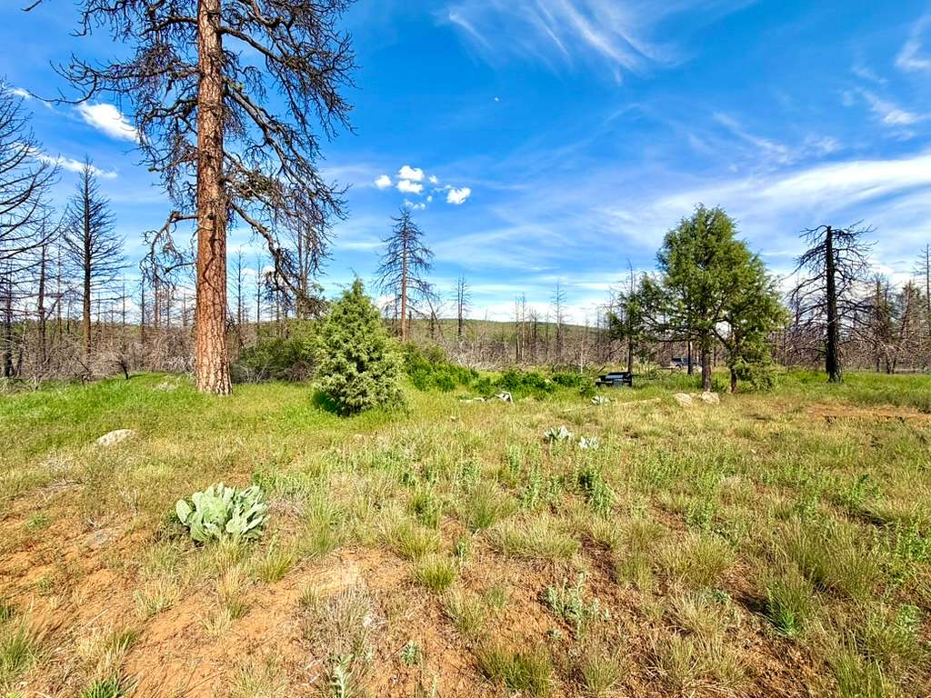 2.28 Acres of Residential Land for Sale in Bonanza, Oregon