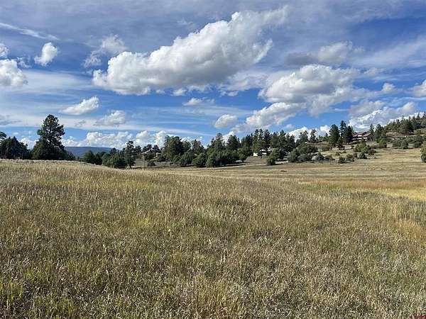 13.7 Acres of Land for Sale in Pagosa Springs, Colorado