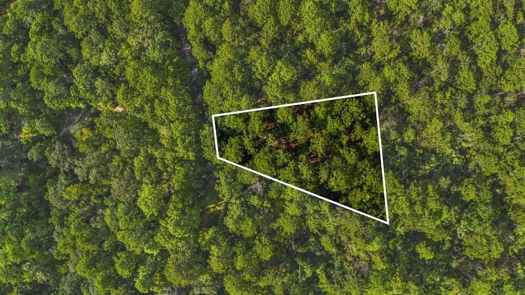 0.25 Acres of Residential Land for Sale in Brookeland, Texas