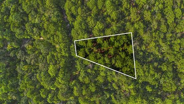 0.25 Acres of Residential Land for Sale in Brookeland, Texas