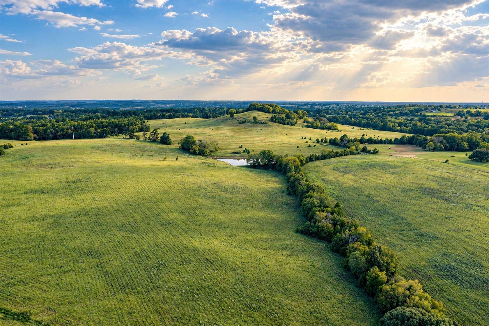 220 Acres of Recreational Land for Sale in Bullard, Texas