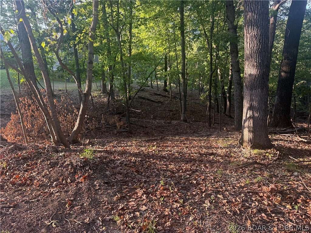0.56 Acres of Residential Land for Sale in Jasper Township, Missouri