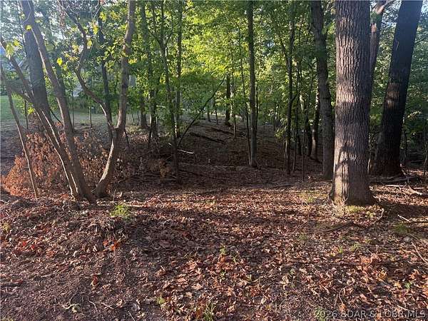0.56 Acres of Residential Land for Sale in Jasper Township, Missouri