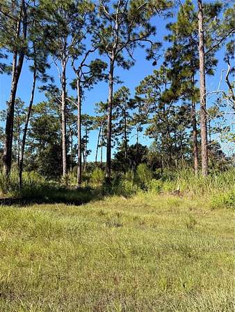 2 Acres of Land for Sale in St. Cloud, Florida