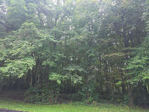 2 Acres of Land for Sale in Edison, Ohio