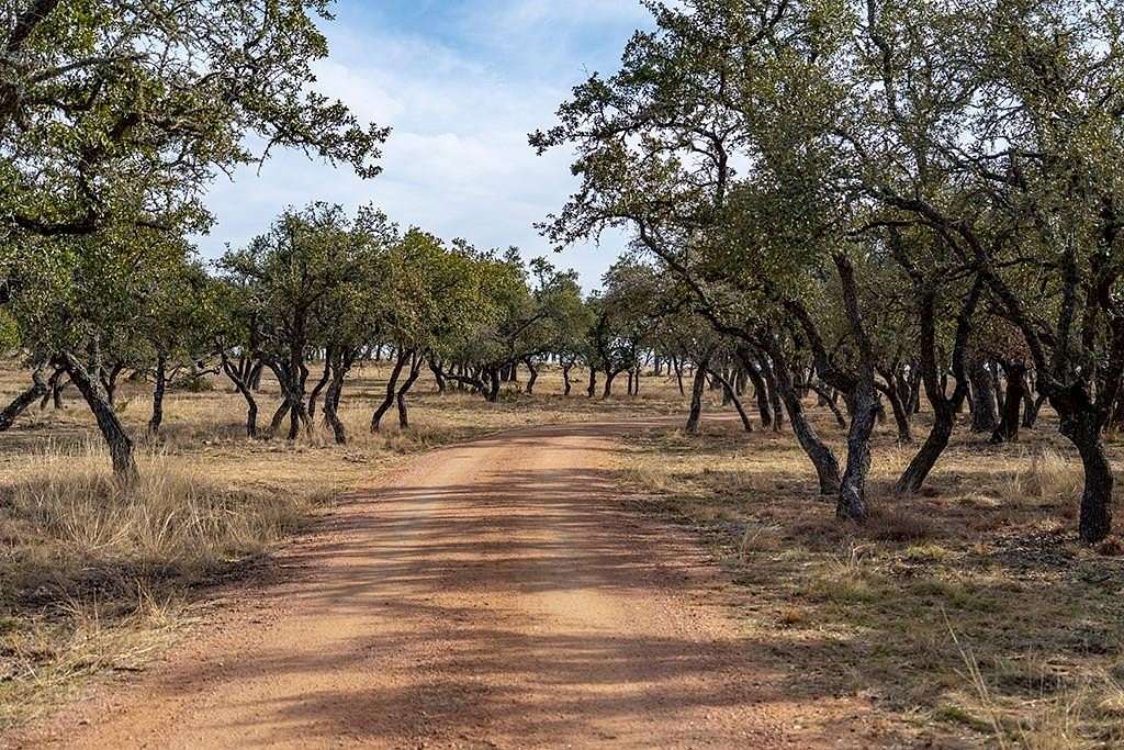 80 Acres of Recreational Land with Home for Sale in Fredericksburg, Texas
