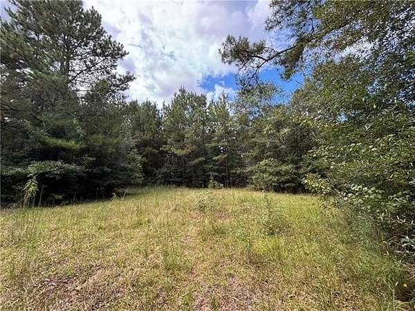 22.6 Acres of Recreational Land for Sale in Bogalusa, Louisiana
