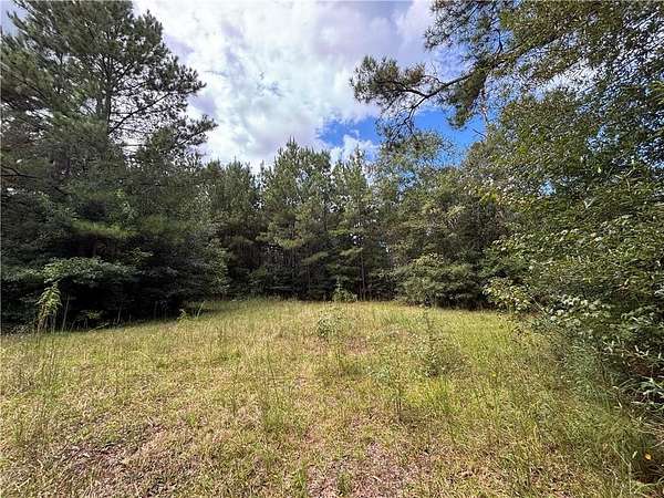 22.6 Acres of Recreational Land for Sale in Bogalusa, Louisiana