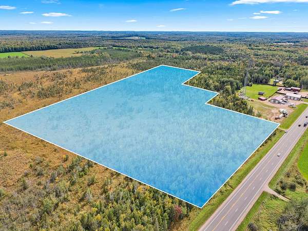 29.5 Acres of Recreational Land for Sale in Aniwa, Wisconsin