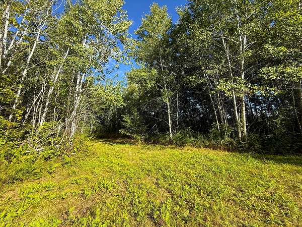 40.2 Acres of Recreational & Residential Land for Sale in Brainerd, Minnesota