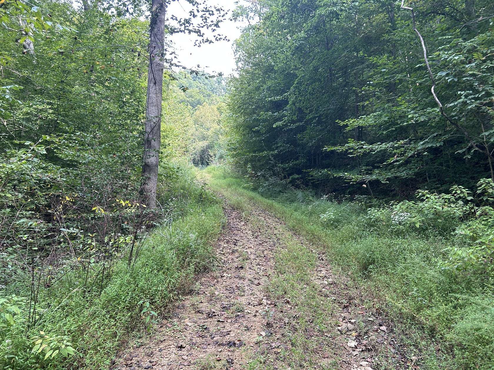68 Acres of Recreational Land for Sale in Cornettsville, Kentucky