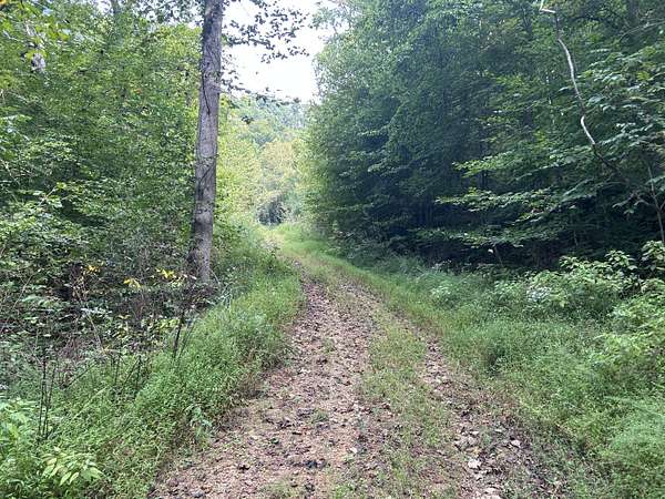 68 Acres of Recreational Land for Sale in Cornettsville, Kentucky