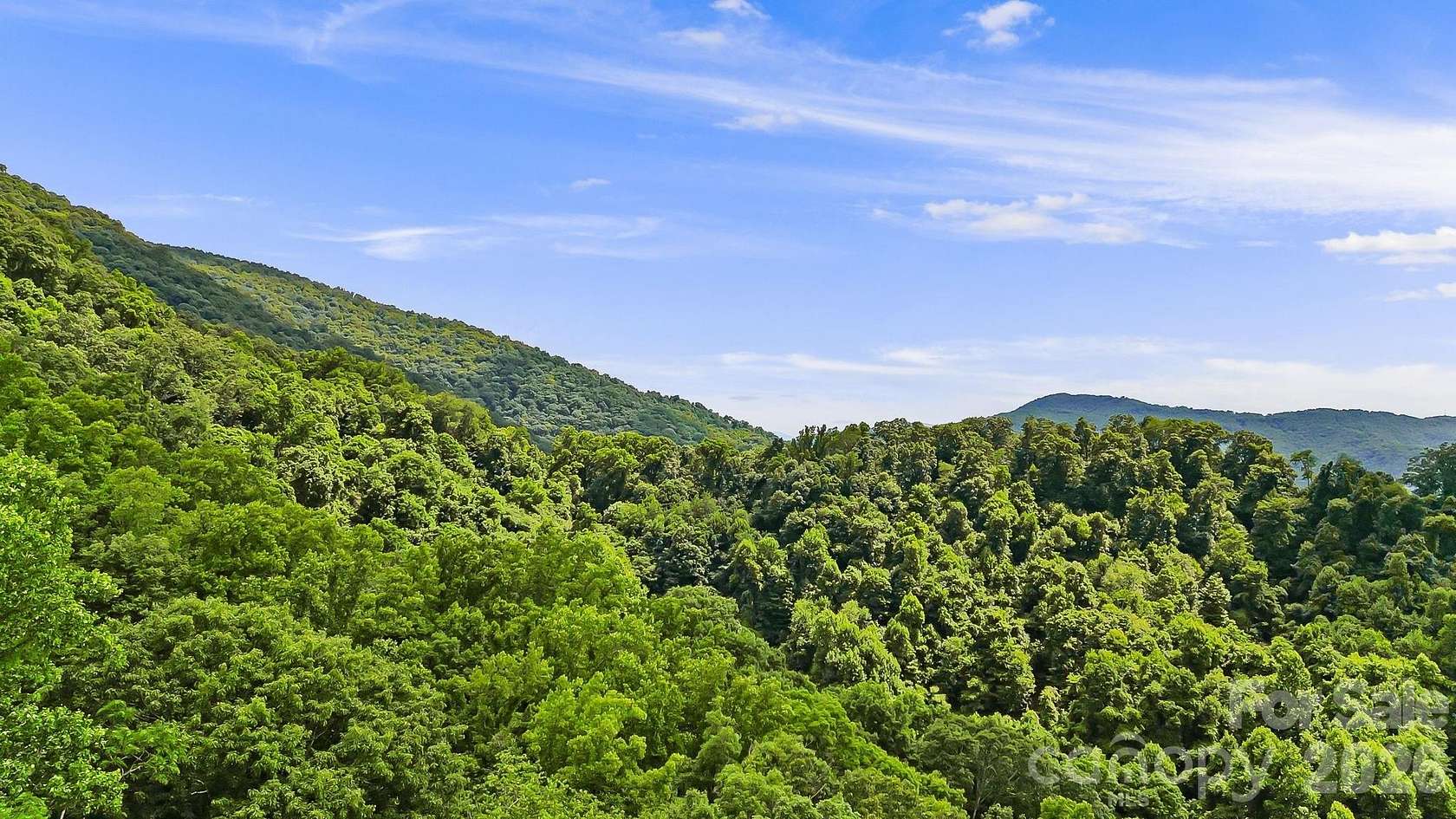 19.5 Acres of Land for Sale in Weaverville, North Carolina