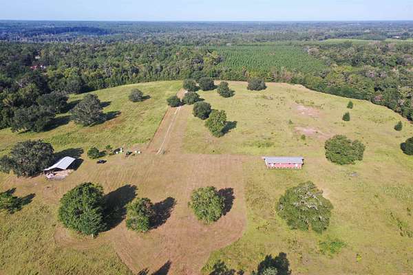 88 Acres of Land for Sale in Quincy, Florida