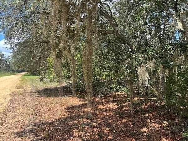 0.22 Acres of Residential Land for Sale in Interlachen, Florida
