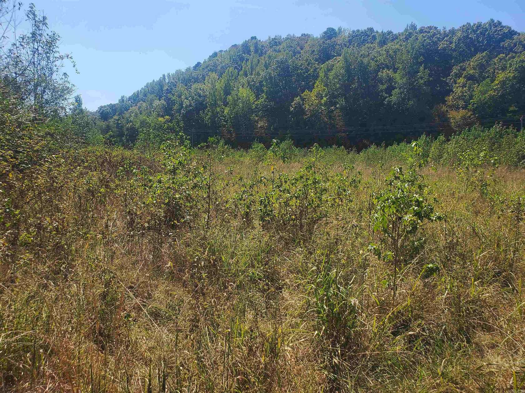4.1 Acres of Land for Sale in Mena, Arkansas