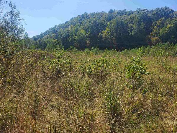4.1 Acres of Land for Sale in Mena, Arkansas