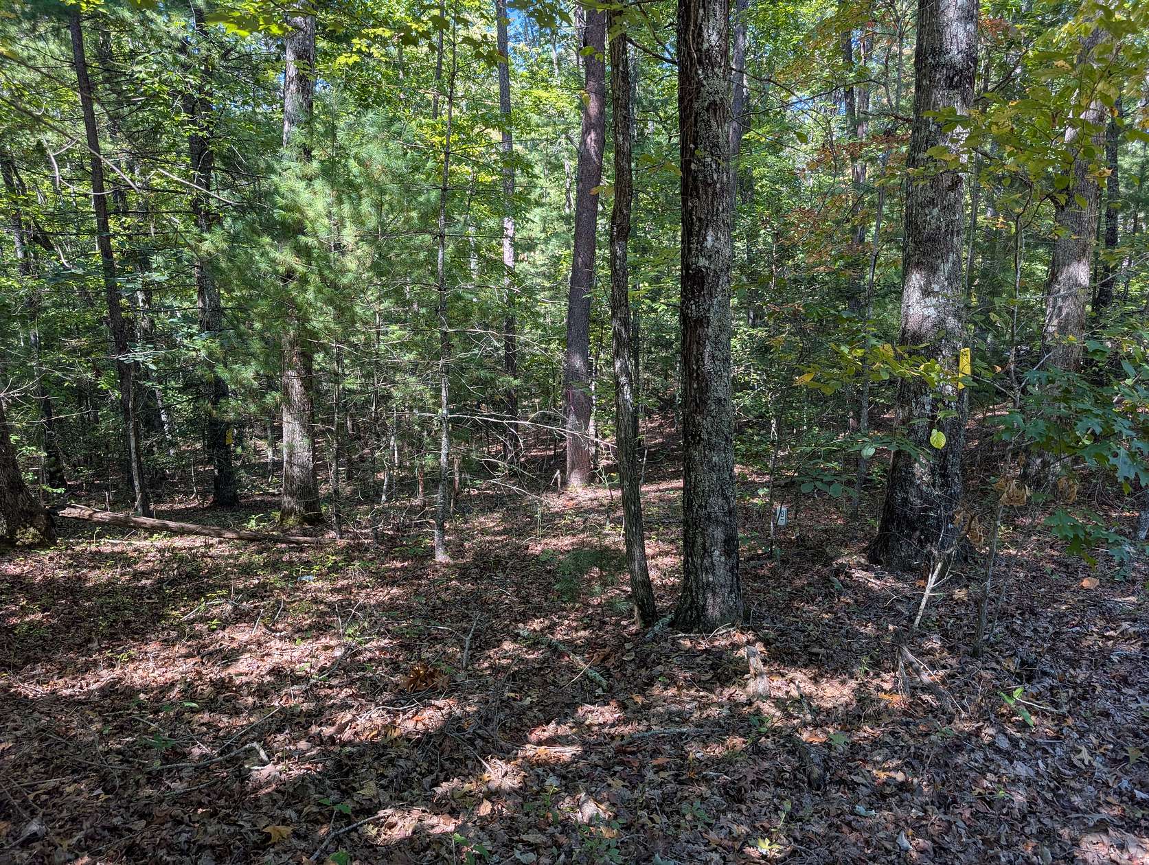 4 Acres of Residential Land for Sale in Murphy, North Carolina