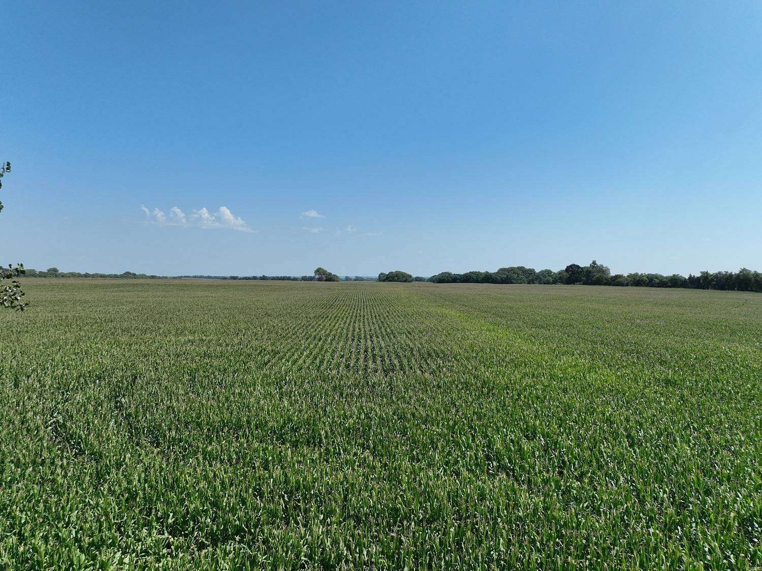 160 Acres of Agricultural Land for Sale in Stanton, Nebraska