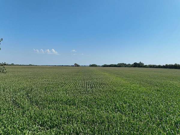 160 Acres of Agricultural Land for Sale in Stanton, Nebraska